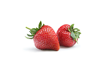 photo de produit et packshot